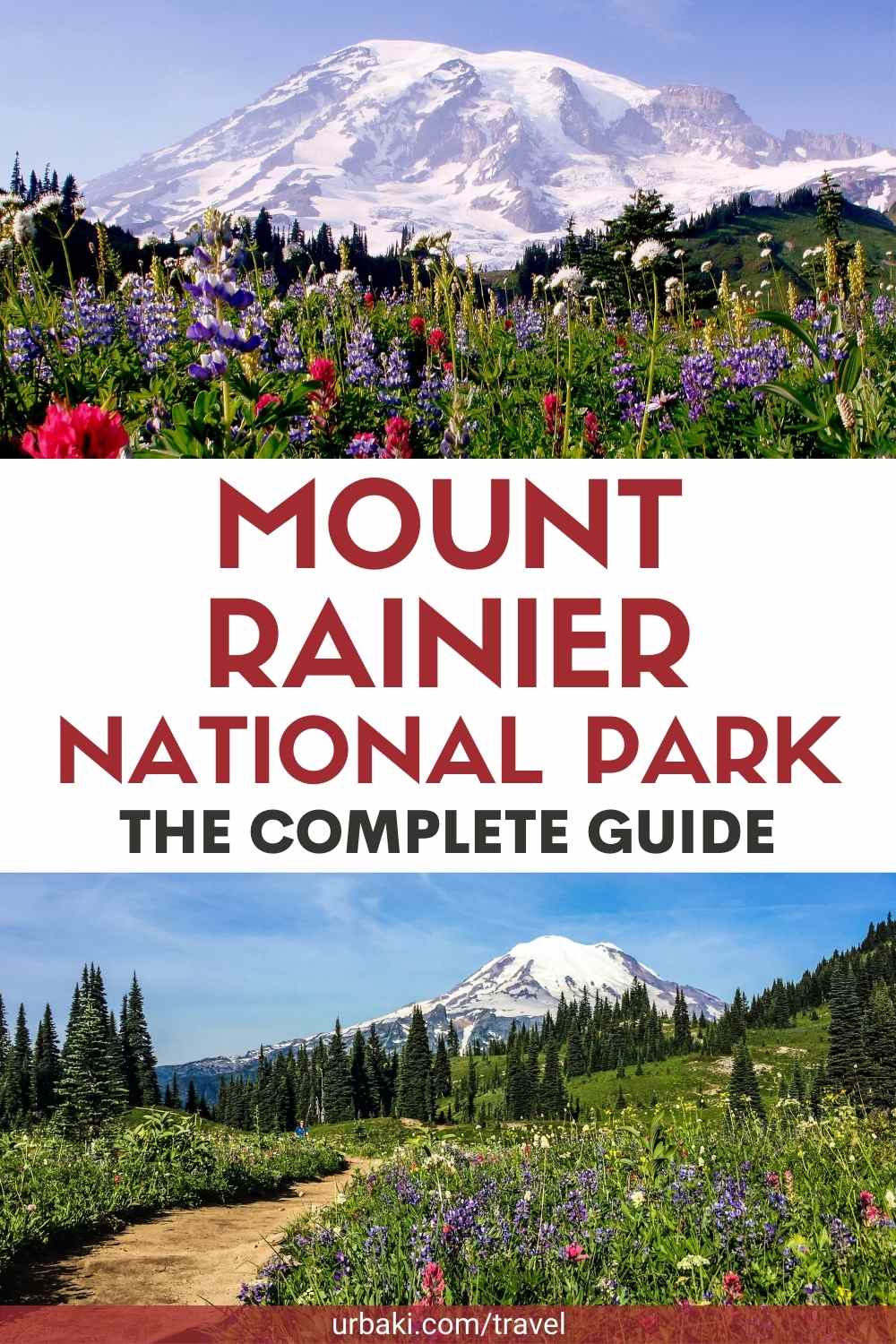 MOUNT RAINIER NATIONAL PARK GET YOUR GUIDE visual data 8